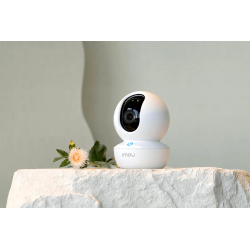 Ranger RC 3MP WiFi Camera, Pan & Tilt, Smart Tracking, One-touch Call