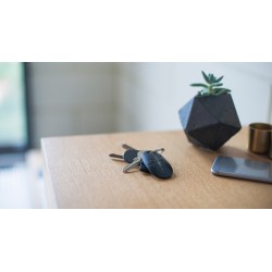 SpaceControl a key fob for controlling security modes, black